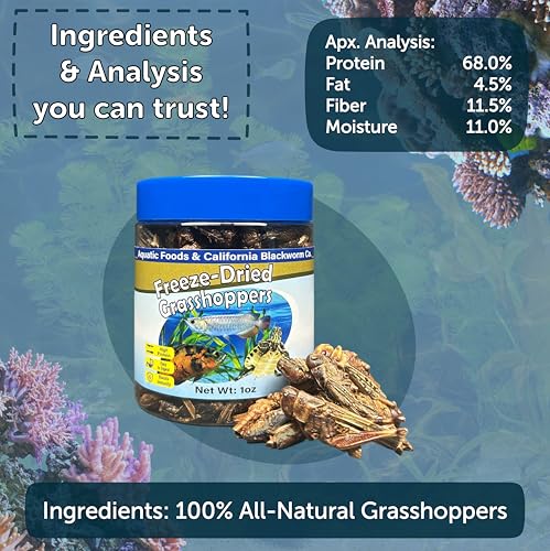 Grasshoppers, Freeze Dried Grasshoppers for Large Tropical Fish, Monster Fish, Reptiles, Turtles, Tortoises, Frogs, Hamsters, Birds, Rodents 4.3oz Canister - size: 4.3 Ounce (Pack of 1)