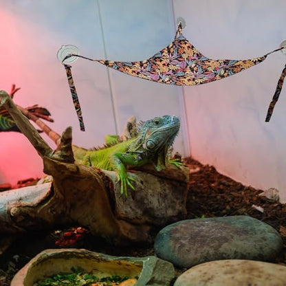 COMSUN 4 Pack Bearded Dragon Hammock with Suction Cup, Reptile Hammocks Lounger Suitable for Resting or Sleeping, Fabric Reptile Hammock for Lizards, Chameleon and Gecko (Rectangle and Triangle) - color: Black and Green