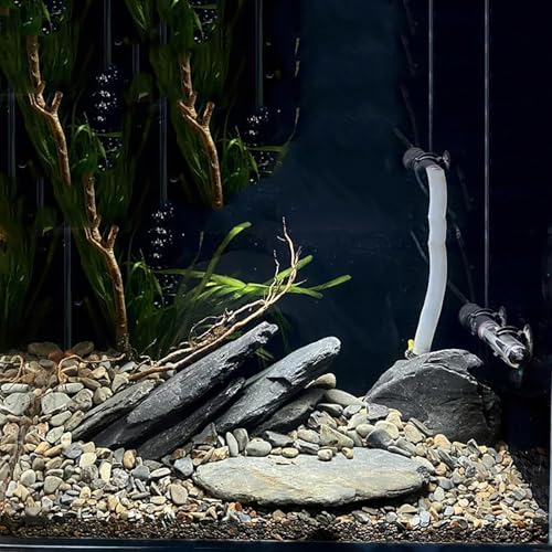 5.5 LBS Irregular Natural Slate Stone Rocks for Aquascaping, Reptile Basking Platforms and Landscape Gravel, Aquarium Bridge Design Kit