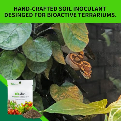 The Bio Dude BioShot for bioactive Substrate - Soil inoculant and Plant Booster (6 Quart Substrate Shot) - size: 6 quart substrate shot
