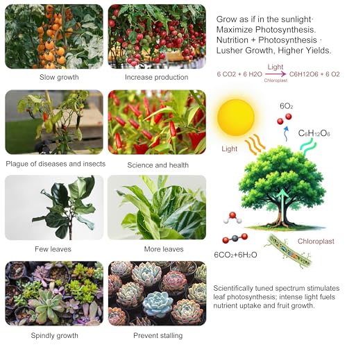 2 Pack LED Grow Light Panel 200W Lamp for Indoor Plants, Full Spectrum with White Blue Red UV IR LEDs for 4x4ft Coverage Grow Tent Greenhouse Veg and Bloom Seedlings Hydroponics - color: Full Spectrum