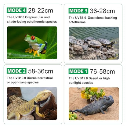 UVB Light for Reptiles with Dimming, LED UVB Light Bulb Fixture for Bearded Dragon Gecko Lizard Turtle Snake, Adjustable Brightness UVA UVB Lamp for Tropical & Desert Reptile Tank Accessories 8W Grey - size: 8W-Grey