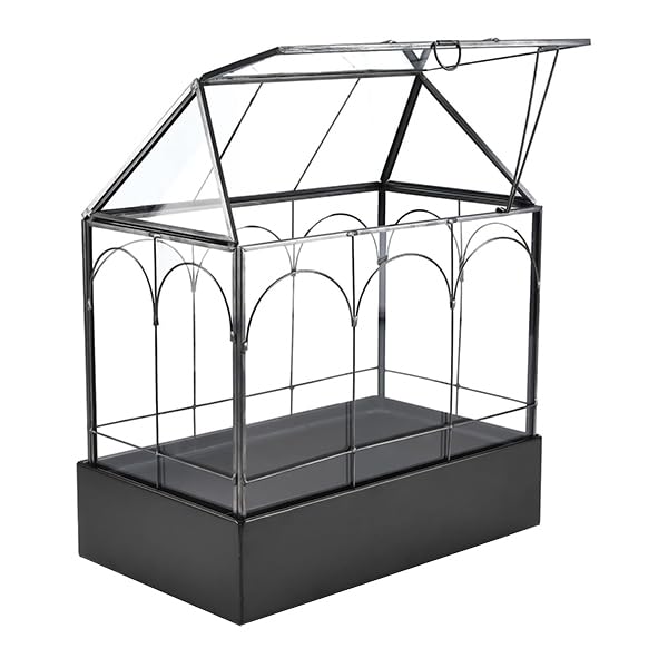 HighFree Large Glass Terrarium with Metal Tray, Glass Greenhouse Terrarium, Succulent Terrarium Kit for Succulents, Cacti, Snails, Spiders, and Miniature Reptiles, Black (Velvet Bottom)