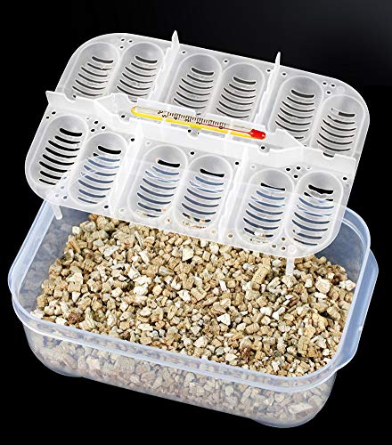 OMEM Reptile Breeding Box, Reptile Egg Incubators, Hatchery Box, for Hatching Gecko, Lizards, Lions Mane, Reptiles (Thermometer, Transparent Box) - size: Thermometer