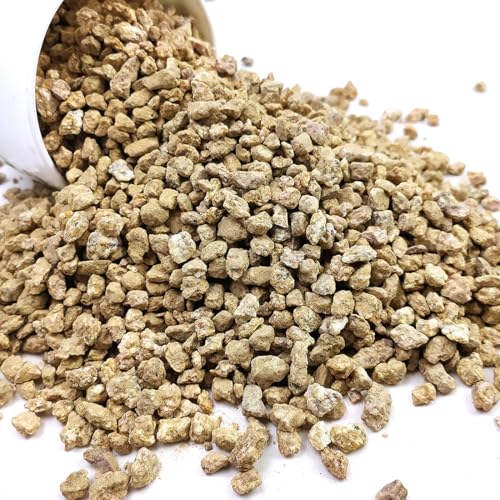 YISZM Succulent and Cactus Maifanitum Stones Garden Accessorie Rocks Pumice for Indoor Plants, Bonsai, Fairy Gardening, Vases Fillers, Terrarium, 5lb - color: Maifanitum Stones, size: 5 Pounds