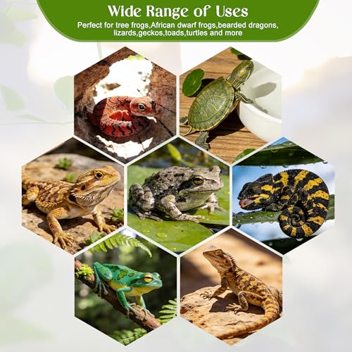 5pcs Crested Gecko Hide Leaf Reptile Wall Climbing Gecko Toy Tank Accessories Including Wall & Dodging Leaves Plastic Reptile Thank Decorations for Turtle Tree Frog Snake Terrarium