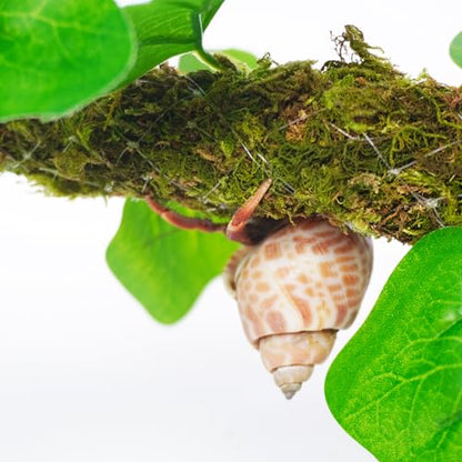 Hermit Crab Climbing Toy with Artificial Vines, 25 Inch Bendable Hermit Crab Supplies, Great Accessory for 10 Gallon Hermit Crab Tank
