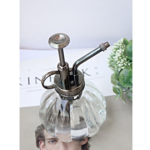 Plant Mister, Glass Watering Spray Bottle with Bronze Top Pump 6.5" Tall Decorative Mister for Plants and Flowers Small Watering Can for Indoor Potted Plants & Terrariums - Clear