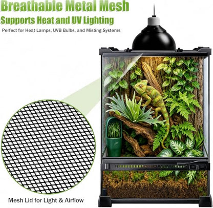 Reptile Terrarium 10"x10"x14", Full Glass Tank Enclosure for Small Reptiles, Geckos, Frogs, Lizards, Snakes, Spiders, Turtles, Vertical Rainforest Habitat - size: 10" x 10" x 14"