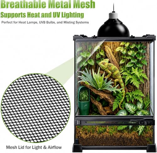 Reptile Terrarium 10"x10"x14", Full Glass Tank Enclosure for Small Reptiles, Geckos, Frogs, Lizards, Snakes, Spiders, Turtles, Vertical Rainforest Habitat - size: 10" x 10" x 14"