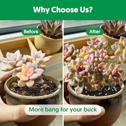 Succulent Cactus Potting Soil Mix (4 qt), All-Purpose Garden Potting Mix for Indoor Outdoor Plants, Quick Drain Houseplant Orchid Bonsai Perlite Soil, Ready-to-Use, Resealable Bag Design - size: 4 qt