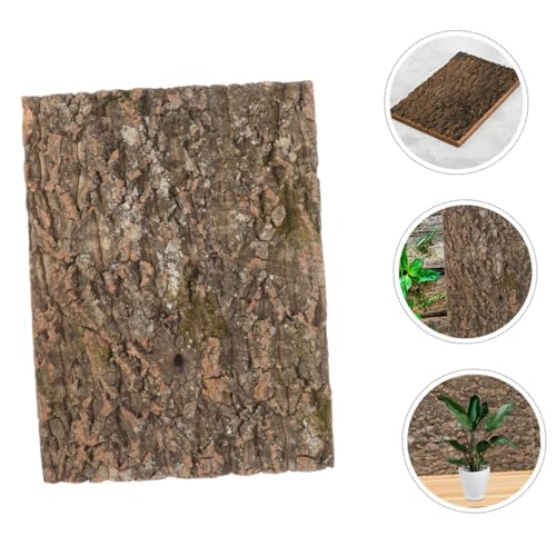 Toddmomy Cork Bark Background for Reptile Tanks and Aquariums Natural Terrarium Decor Safe for Aquatic Animals Compact for Climbing Pets