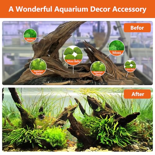 Natural Reptile Wood Bearded Dragon Tank Accessories, Reptile Climbing & Basking Branch Aquarium Driftwood Reptile Hide Terrarium Decor for Gecko, Lizard, Chameleon, Snake