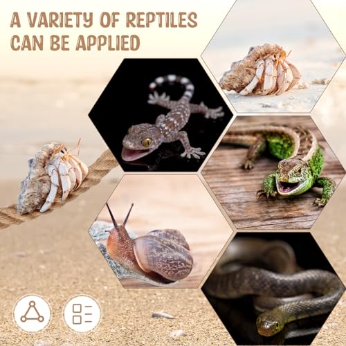 JellyArch Hermit Crab Toys Hermit Crab Climbing Jute Rope Ladder with Hooks Reptile Tank Terrarium Accessories Habitat Decor for Lizards Geckos Snakes(1 Pcs,23.6 Inch) - size: 23.6 Inch