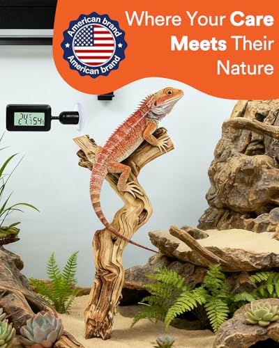 3Pcs Bearded Dragon Wood Branch, Large 14-17 Inch Reptile Wood Logs for ClimbingTerrarium Habitat Decor for Geckos, Chameleons, Frogs & Spiders (Upgrade the Thermometer) - size: Upgrade the thermometer