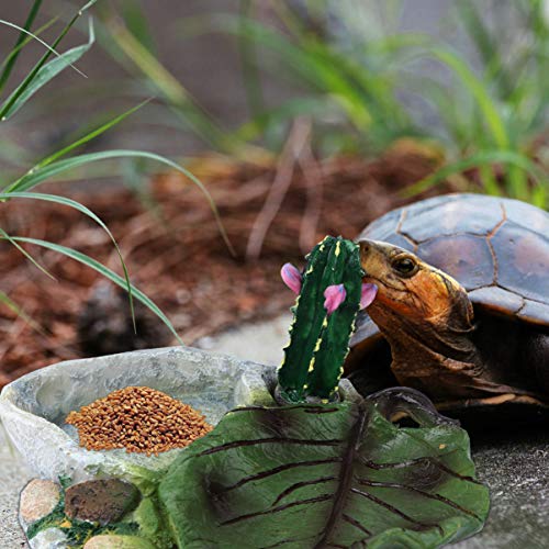 POPETPOP Reptile Water Dish: Cactus Shape Resin Reptile Feeding Dish for Bearded Dragon, Lizard, Spider