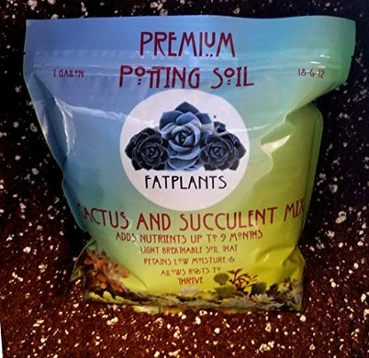 Fat Plants San Diego Premium Cacti and Succulent Potting Mix Soil - for Cactus Palm Tree Citrus Plant Grown in Gardening Containers - Indoors & Outdoors Use - with Natural Food/Fertilizer - size: Gallon