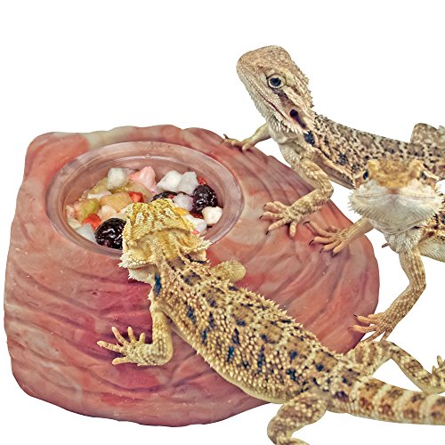 Healthy Herp Fruit Mix Instant Meal Reptile Food - Bearded Dragon Accessories & Bearded Dragon Food - Nutritious Blend for Bearded Dragons, Box Turtles, Tortoises, Hermit Crabs - 3.5 oz (99g) - size: 4.3 Ounce (Pack of 1), style: Jar