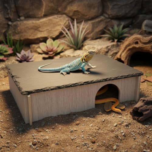 PINVNBY Large Bearded Dragon Basking Platform, Wooden Snake Hide, Ball Pythons Hide with Slate Rock, Leopard Gecko Tank Accessories for Geckos, Crested Gecko Chameleon Turtles (L: 11.8x7.87 inches) - size: L: 11.8x7.87 inches