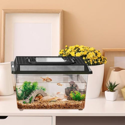 Reptile Container – Transparent Carrier, Portable Handle Design, Durable PET Material, Compact Habitat Feature, Easy Clean Structure | Perfect Feeding Housing Gecko Crab Hermit Turtle Snail