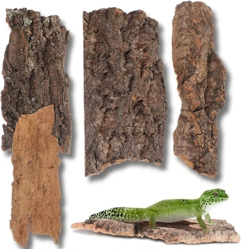 balacoo Terrarium Tree Bark: 4pcs Reptile Bark Decoration Natural Cork Bark Backdrop Reptile Tank Background Leopard Cork Bark - Tarantula Enclosure Accessories