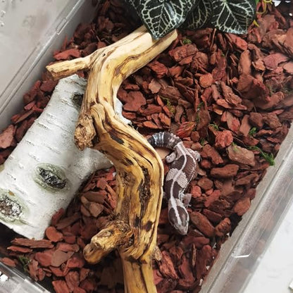 BNOSDM Reptile Cork Bark Substrate Bedding Tortoise Natural Cork Wood Chips Reptile Breeding Bedding Habitat Decor for Ball Python Lizard Snake Spiders Geckos Bearded Dragons Hermit Crabs （0.99LB）