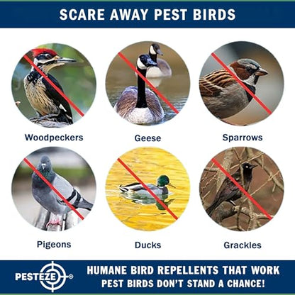 PESTEZE USA Premium Bird Deterrent Wind Spinner Set – 3-Piece Stainless Steel Reflective Water Droplet Design to Deter Birds & Prevent Nesting Around Porch, Garden & Outdoor Areas [2.6 × 15.5 in]