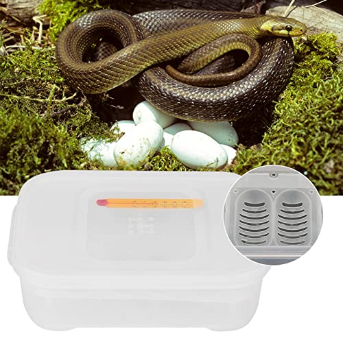 Reptile Incubator - 12 Holes tile Egg Incubation Tray with Thermometer for Hatching Smaller tiles - tile Breeding Box for Tortoise, , Lizard, and Snake Eggs