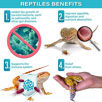 Gargeer Reptile Probiotics. Improve Appetite, Digestion and Boost Immune System. Supplement 10-12 Pounds of Food with Our 2 Oz Bag. Enjoy!
