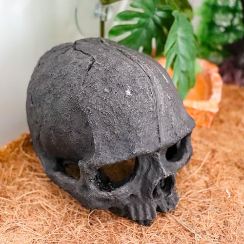 Oooct Resin Skull Sculpture, Black, Reptile Hideout for Fish, Bearded Dragon, Ball Python, Leopard Gecko, 4.7 x 3.5 x 3.7 Inch - color: Black, size: Simulated Human Skull