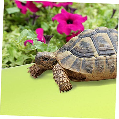 BESPORTBLE 200m Reptile Carpet Mat for Terrarium Soft and Washable Substrate for Bearded Dragon Leopard Gecko Snake Lizard Turtle Liner