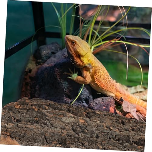 VANZACK 2pcs Reptile Cork Bark for Fish Tank Landscaping Natural Decorative Climbing Accessories for and Snake Habitats Safe Sturdy and Design
