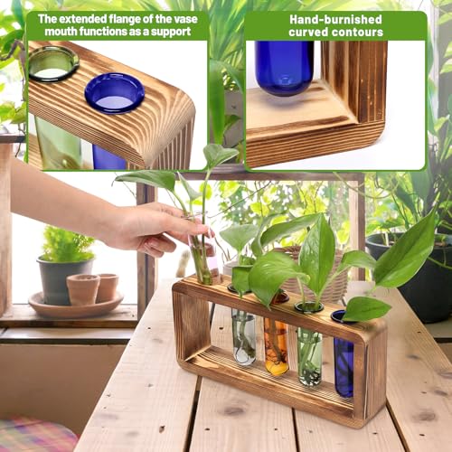 Glass Plant Propagation Station with 5 Test Tubes Colorful Planter Vase Birthday Gifts for Women in Wooden Stand - color: Color-01