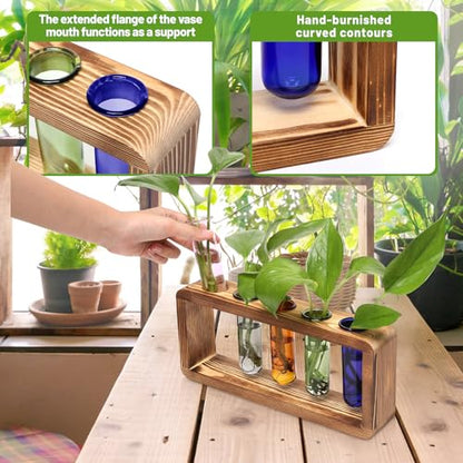 Glass Plant Propagation Station with 5 Test Tubes Colorful Planter Vase Birthday Gifts for Women in Wooden Stand - color: Color-01