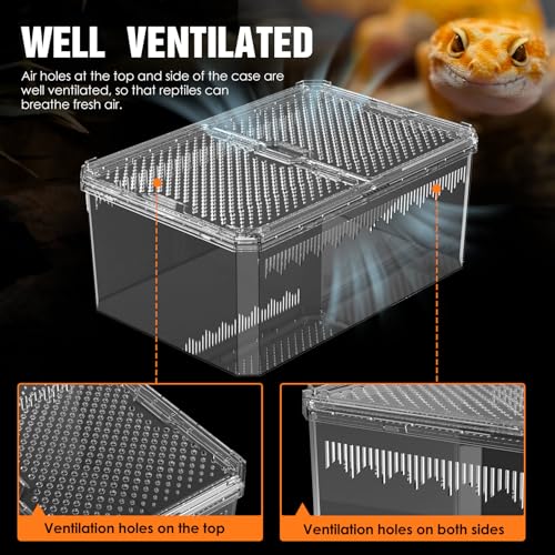 【No Assembly】 Breathable and Secure Reptile Tank with high Transparency - Ideal Container House for Hermit Crab, Tarantula Enclosure, Turtle Tank or Jumping Spider Habitat (M)