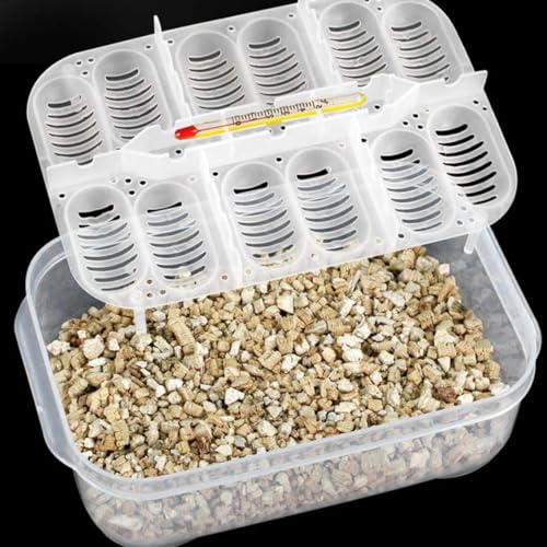 Reptile Incubation Box Reptile Incubator Egg Tray Hatching Box with 12 Grids for Turtle Gecko Lizards Mane, Reptile Incubation Box