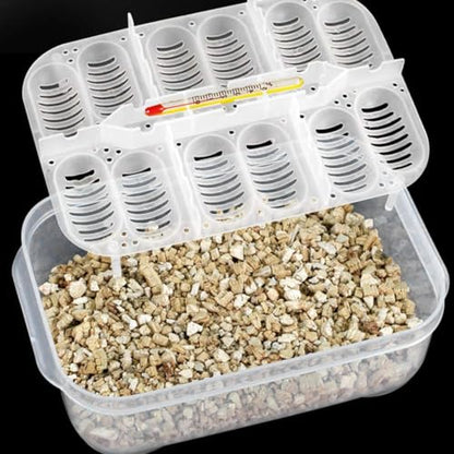 Reptile Incubation Box Reptile Incubator Egg Tray Hatching Box with 12 Grids for Turtle Gecko Lizards Mane, Reptile Incubation Box