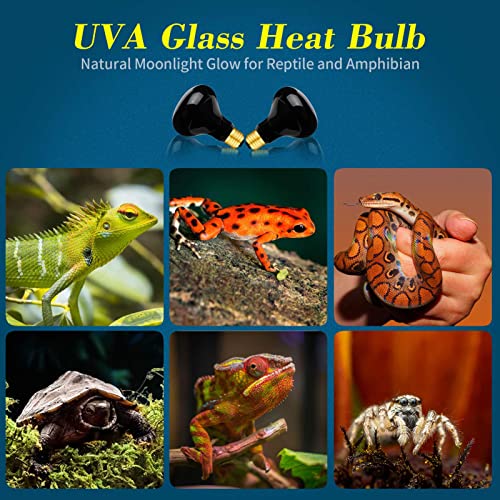 2 Pack 100W Night Heat Reptile Infrared Moonlight Bulb, Black Glass Cover Moonlight Pet Light UVA Spot Lamp for Reptile & Amphibian, Lizard, Bearded Dragon, Chameleon