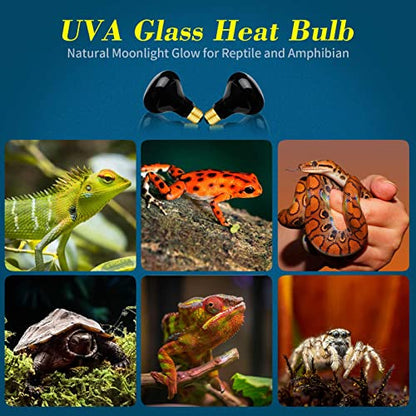2 Pack 100W Night Heat Reptile Infrared Moonlight Bulb, Black Glass Cover Moonlight Pet Light UVA Spot Lamp for Reptile & Amphibian, Lizard, Bearded Dragon, Chameleon
