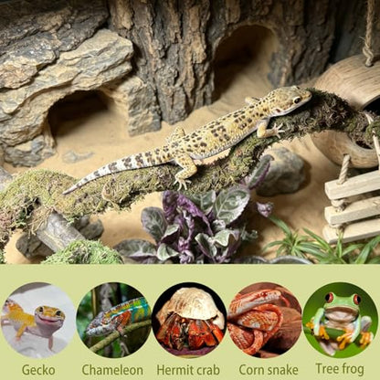 2PCS Leopard Gecko Climbing Toys Bendable Moss Vine Hermit Crab Tank Accessories for Lizards Leopard Geckos Chameleons Frogs 15 Inch (2)