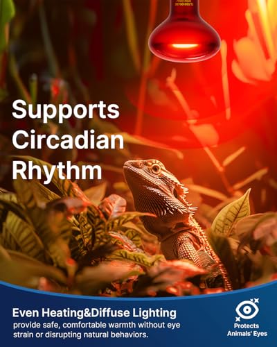 FLSNT 2 Pack Reptile Red Heat Lamp Bulbs,100W Infrared Basking Spot Light for Turtles, Leopard Gecko, Ball Python, Bearded Dragon, Chicken - color: Infrared Heat Lamp