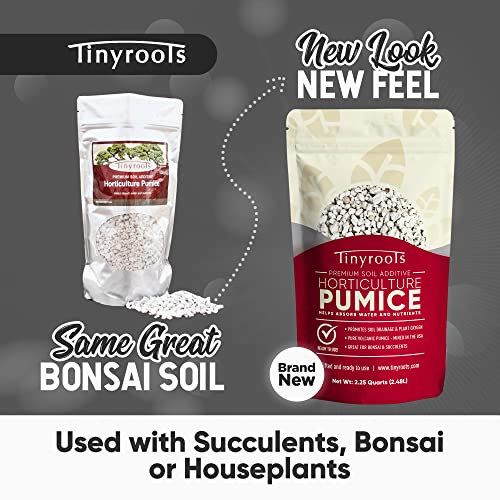 Bonsai Outlet Horticultural Pumice for Plants - Tinyroots Succulents, Cactus, Bonsai Plants - 100% Pure Bonsai Pumice Rocks, 1/4 inch Soil Additive, 2 Quarts - size: 2QT