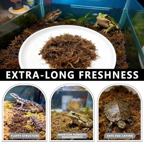 Sphagnum Moss for Reptiles, 1.1LB Terrarium Reptiles Moss Green Dried, Moss Bedding for Turtles, Frogs, Snake, Gecko Reptile Substrate (1.1 LB)