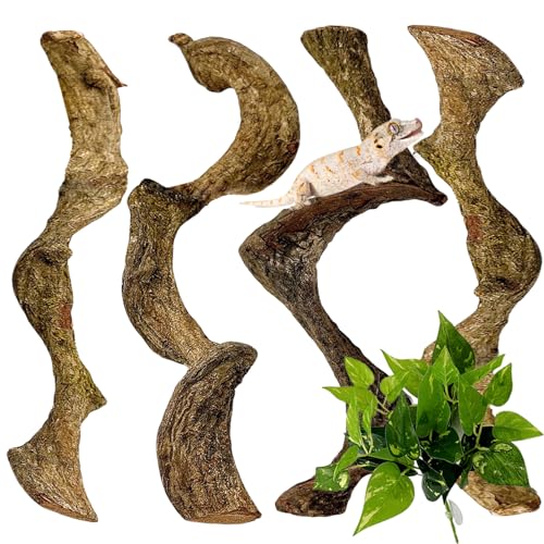 BNOSDM 4PCS Natural Reptile Climbing Branches Decor,0.8-1.2" Thick Snake Climbing Forest Wood with Plant Leaf Decor,Lizard Forest Branch,Geckos Tank Tree Trunk Accessories for Bearded Dragons - size: 4PCS|S:0.75-1.25"T,13"H