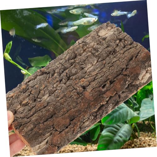BESPORTBLE 3pcs Reptile Cork Bark Background for Terrarium Natural Tree Bark Decor for Fish Tank and Reptile Habitat and Safe Wall Decor