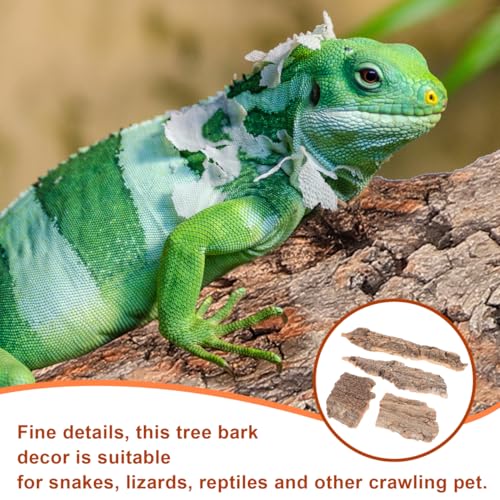VICASKY Cork Bark Reptile Climbing Paper 4 Pcs Terrarium Background Natural Backdrop Mat Habitat Decor for Spider Lizard Chamelon Turtle Beared Dragon Bearded Tank Flats Decorations Sticks Carpet