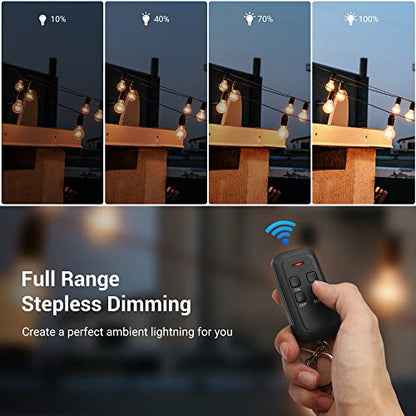 DEWENWILS Outdoor Dimmer for String Lights, Remote Dimmer Switch, Weatherproof Dimmer Plug, 100FT Range, Compatible with Dimmable LED/Tungsten Bulbs - style: Black Dimmer