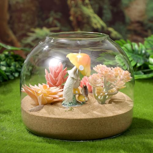 ULTECHNOVO 5.9" Glass Terrarium Jar with Wood Stopper – Airtight Mini Ecosystem Jars with Cork Lids for Hydroponic Plants & Moss, Micro Landscape Decor for Bedroom, Office, Gift for DIY Gardeners