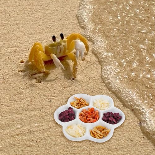 5.12" Hermit Crab Ceramic Food Dish,7 Compartments Ceramic Anti-Turning Food & Water Bowl for Hermit Crab Tarantula Snail - size: 5 inch