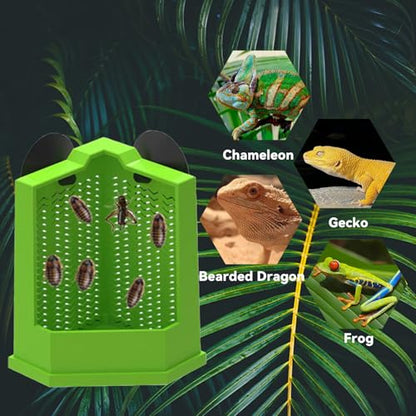 Chameleon Feeder Bearded Dragon Box Reptile Feeder with Suction Cup, Wall Mounted Insect Feeder Escape-Proof Corner for Lizard, Iguana, Gecko, Frog (Medium)